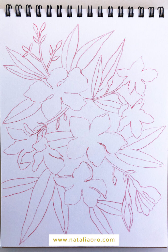 Oleander Flower pencil sketch in a sketchbook by nataliaoro