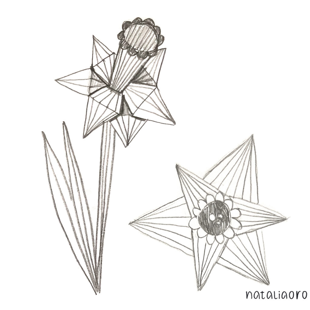 Geo shapes daffodil sketch, nataliaoro