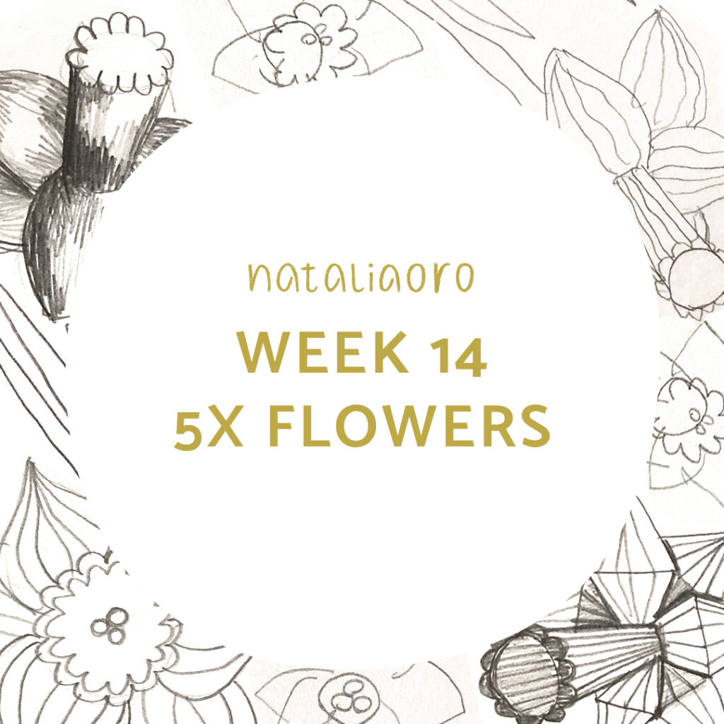5 flower sketches, title image, nataliaoro