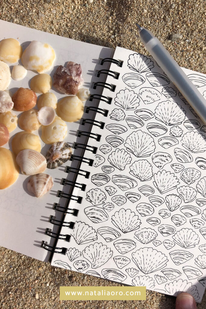 Creative practice on vacation - sketchbook practice - draw from nature - shells, Barcelona, Spain, nataliaoro