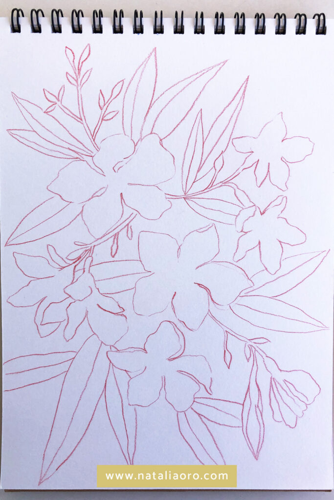 Creative practice on vacation - a line drawing of an Oleander Flower, nataliaoro
